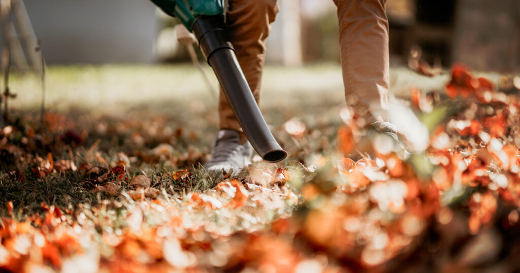 consejos de jardinería para el otoño